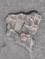 29993 6366