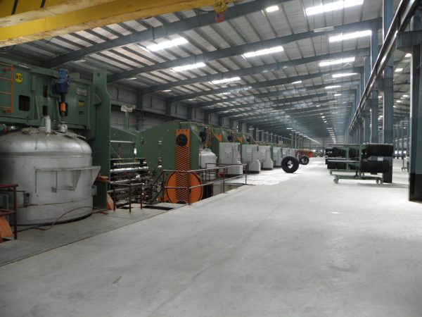 ATG Plant