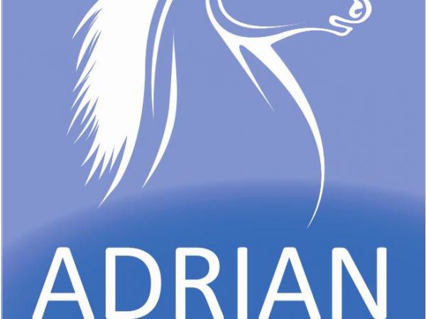 AdrianFlux