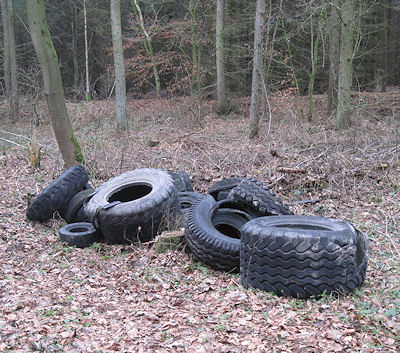 Altreifen in Huder Wald