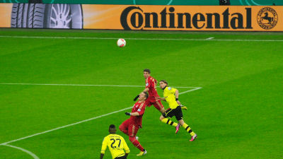 BayernBVB