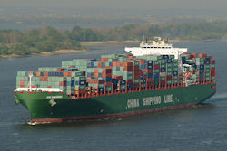 China Exporte tb