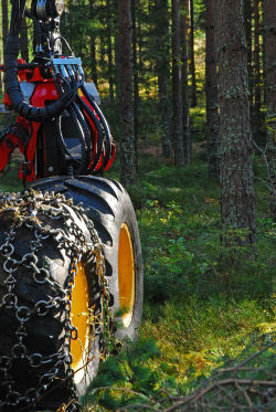 Forestry442