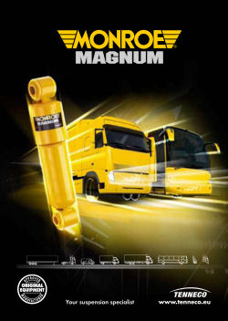 Magnum