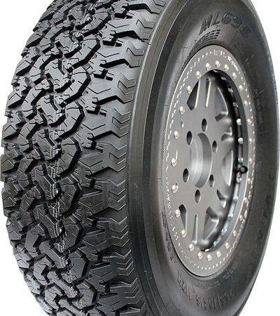 Mayerosch Event ML698