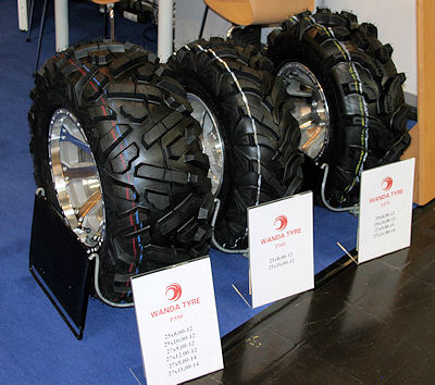 Mayerosch Wanda Tyre