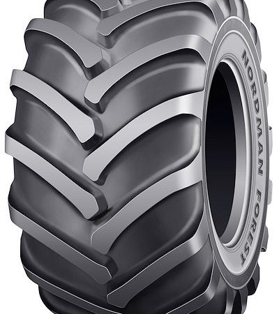 Nokian Nordman Forest