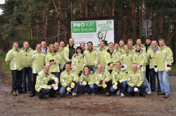 ProKat1Baum