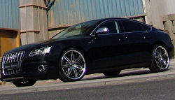 Senner 01