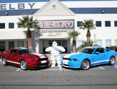 ShelbyMi