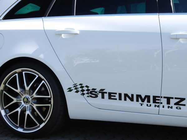 SteinInsSport