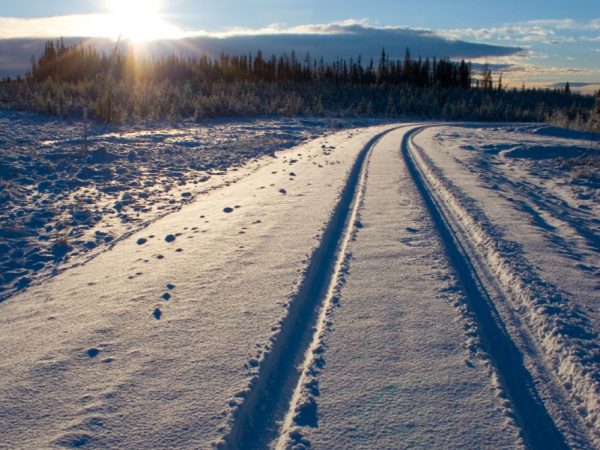 Winterspuren