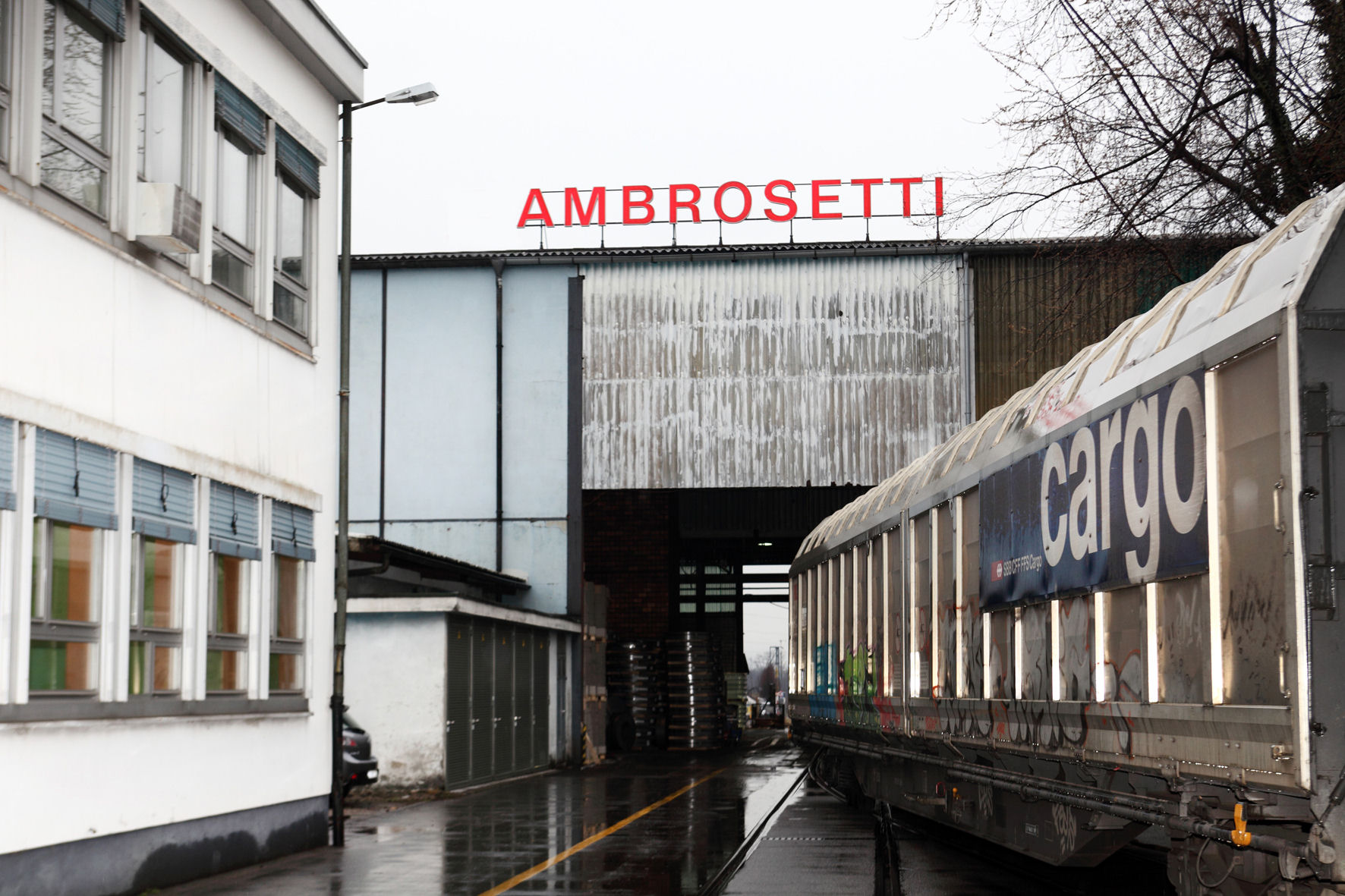 ambro11