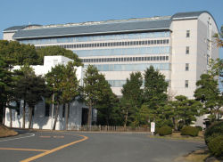 hiratsuka1