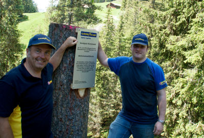 schutzwald