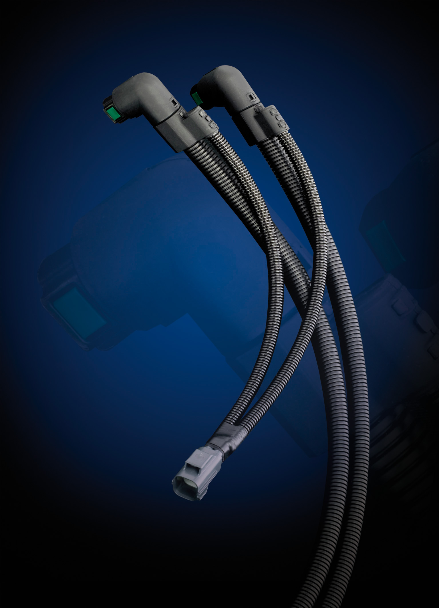 scr 01