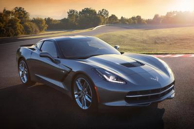 stingray