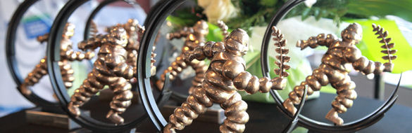 Michelin Lieferantenaward tb
