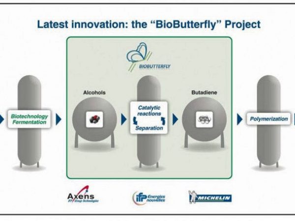 BioButterfly tb