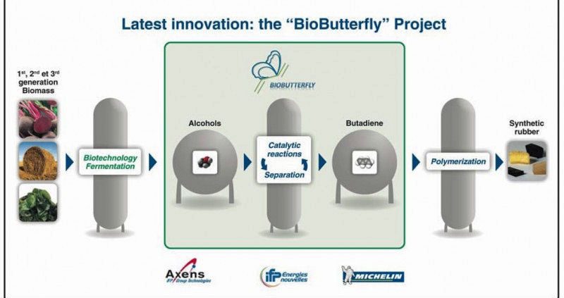 BioButterfly tb