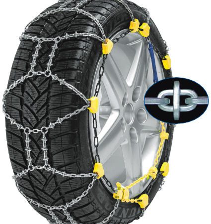 QS Spur
