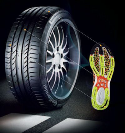 Conti Adidas Laufschuhe