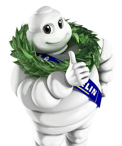 Michelin Dakar Moppedsieg