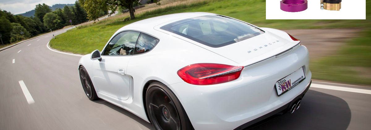 KW Porsche Cayman Typ 981 tb