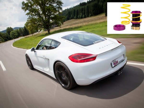 KW Porsche Cayman Typ 981 tb