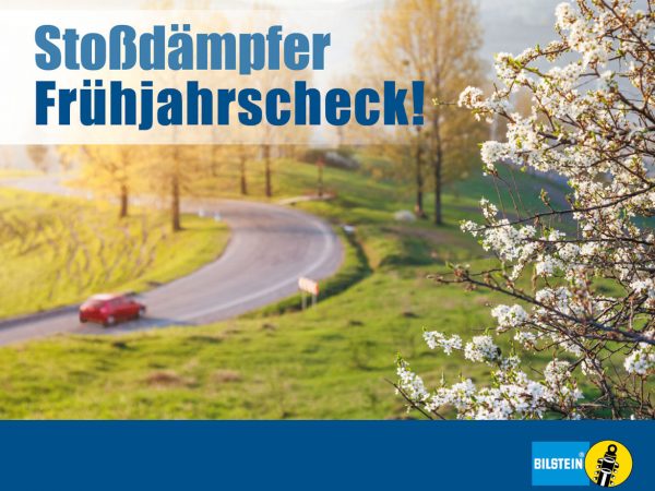 Frühjahrscheck