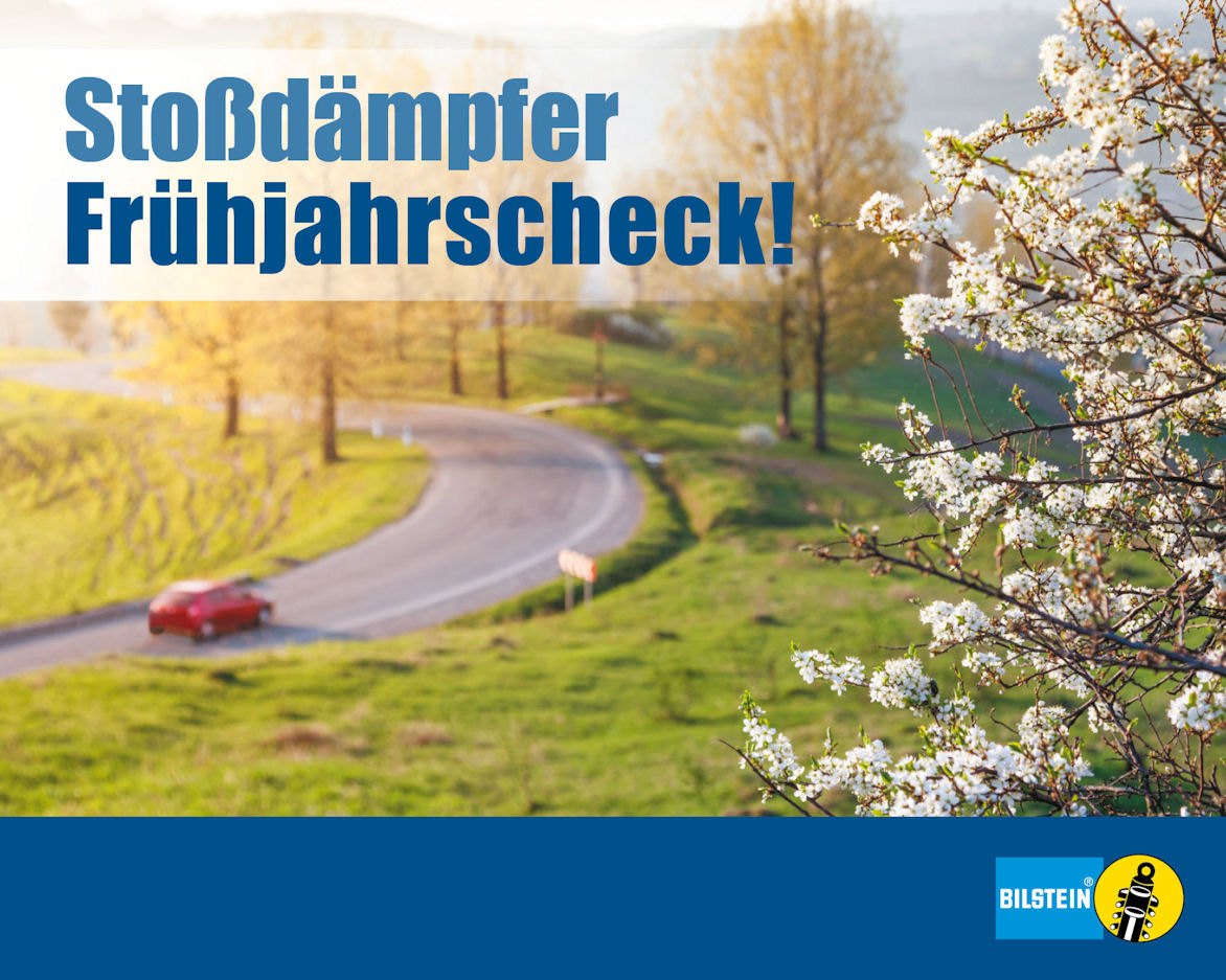 Frühjahrscheck