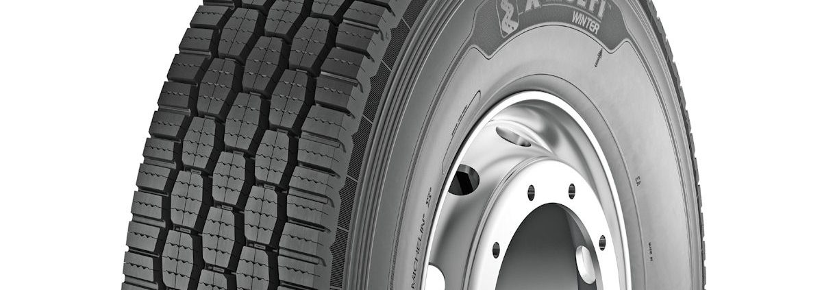 Michelin X Multi Winter Z tb