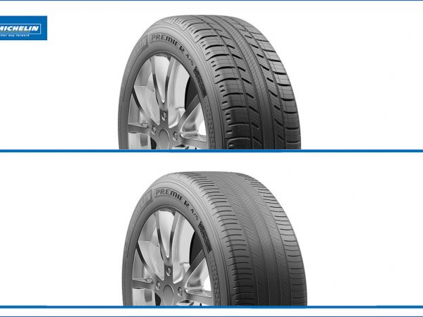 Michelin EverGrip tb