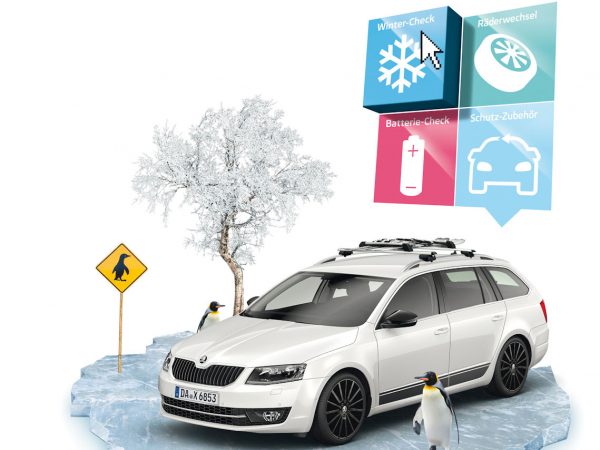 WinterSkoda