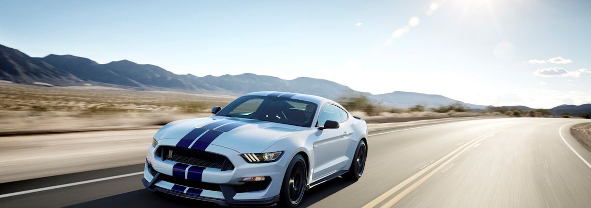 shelbyMi