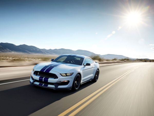 shelbyMi