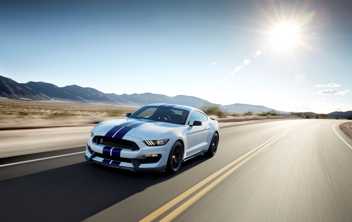 shelbyMi