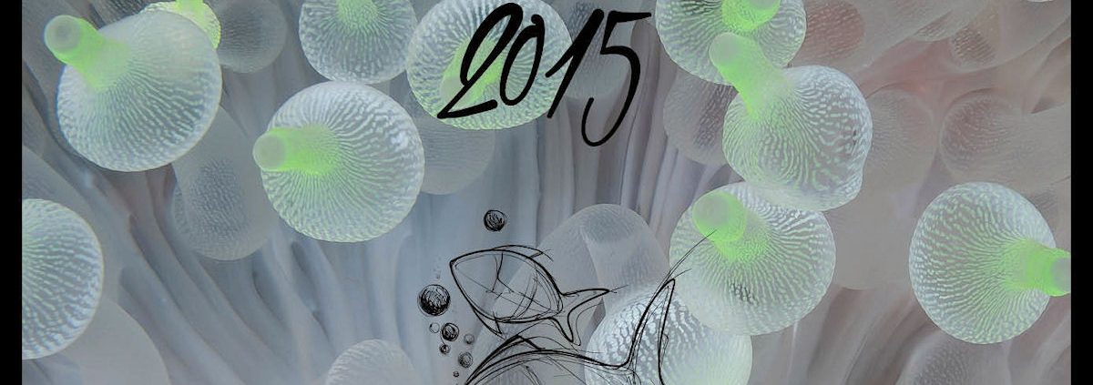 Momo Tires Water World Kalender tb