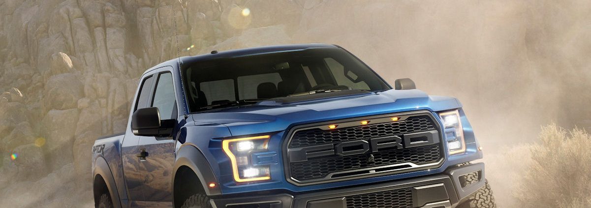 Raptor