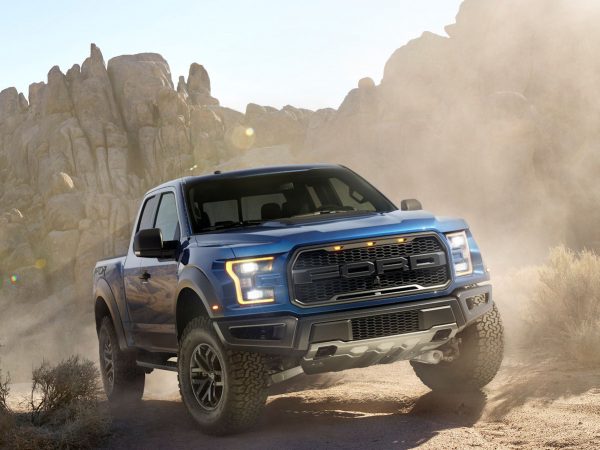 Raptor