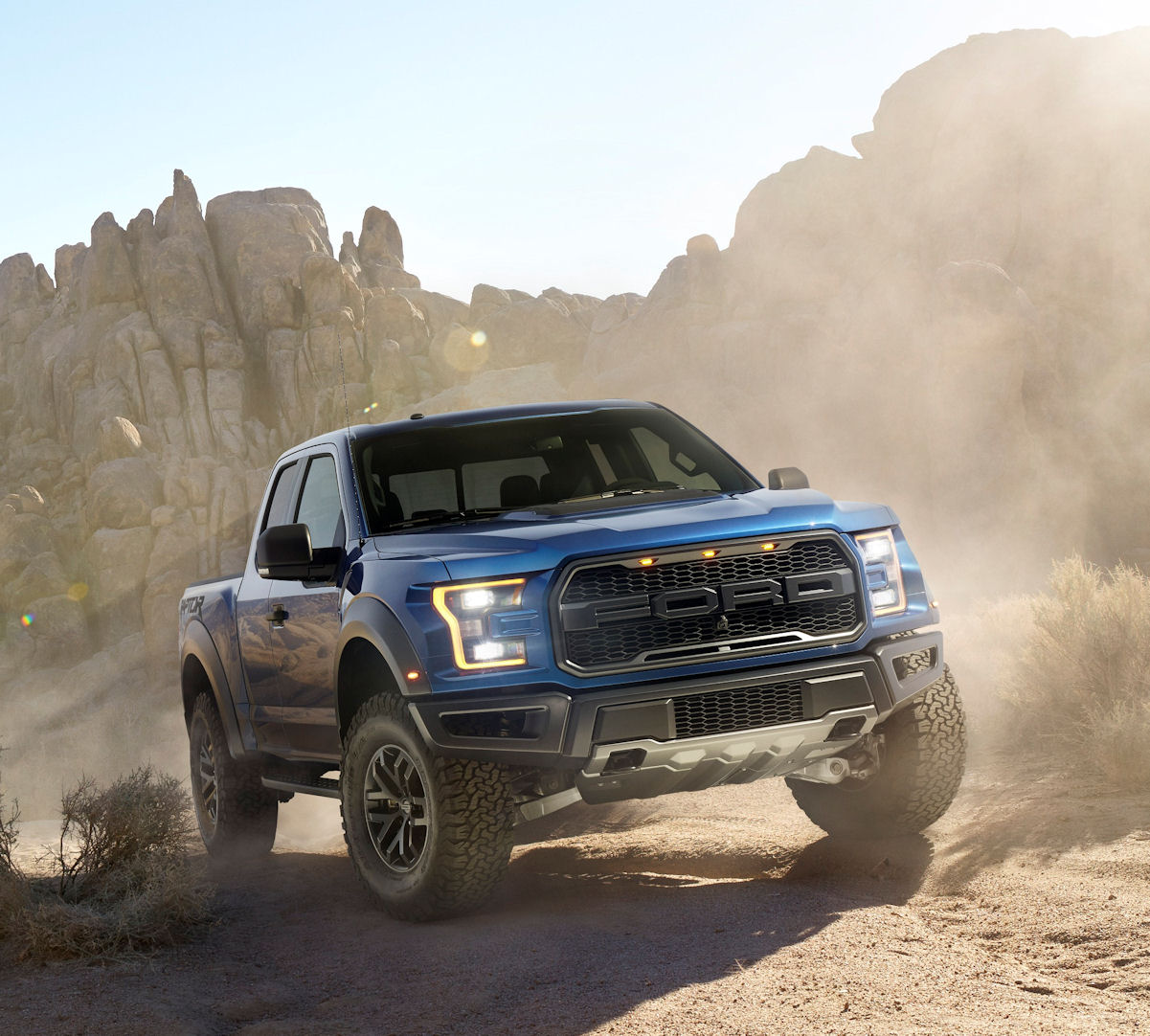 Raptor