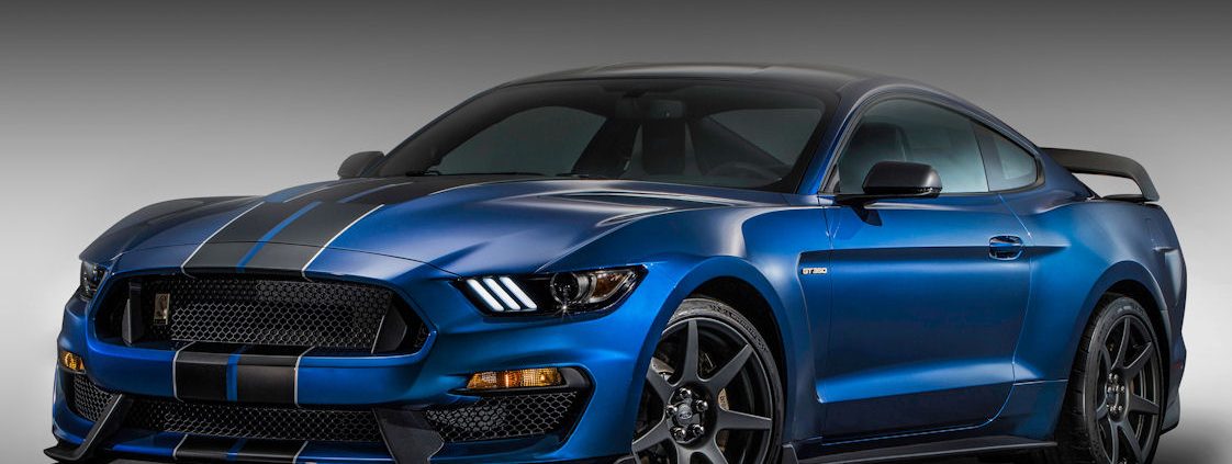 ShelbyCarbonkl