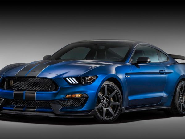 ShelbyCarbonkl