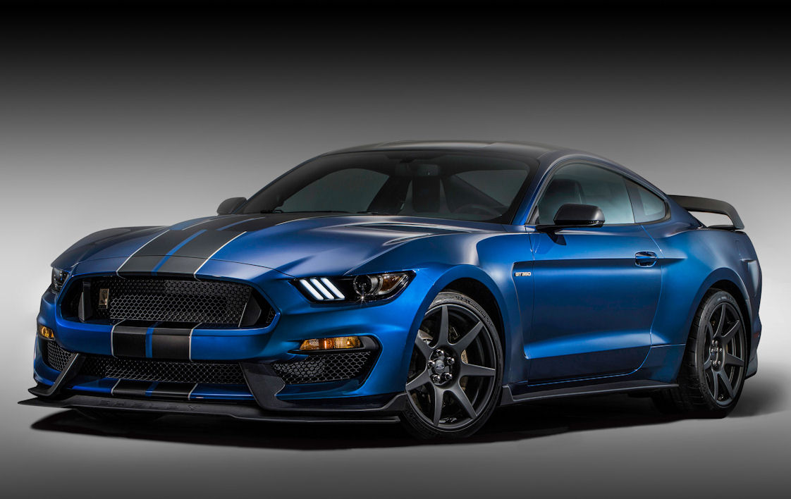 ShelbyCarbonkl