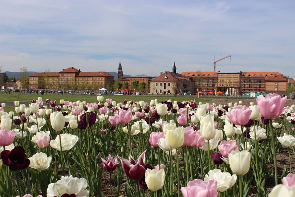 Michelin Landesgartenschau Landau 4