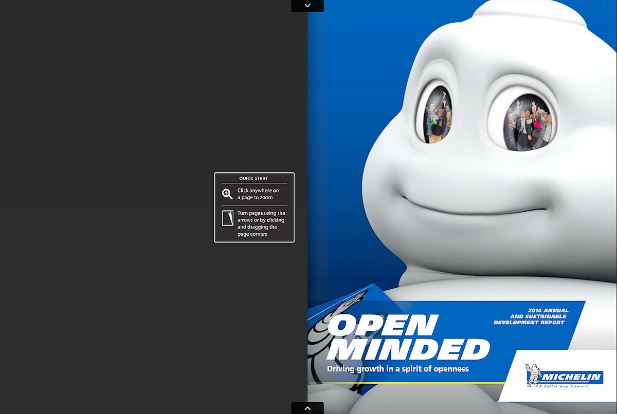 Michelin Nachhaltigkeitsbericht tb