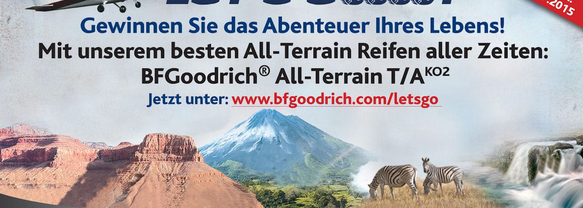 BFGFlyer