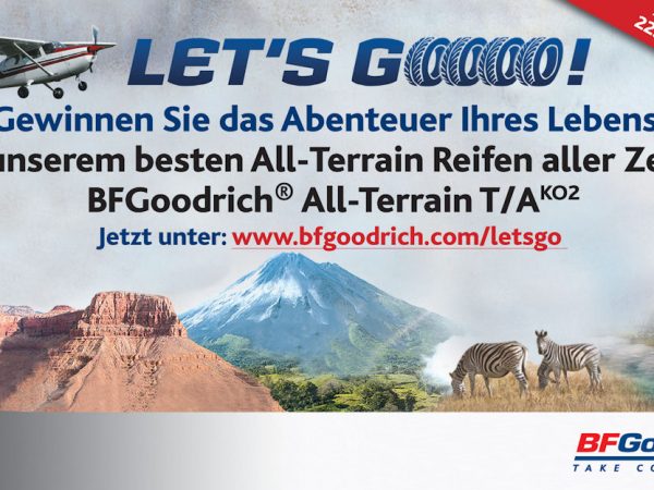 BFGFlyer