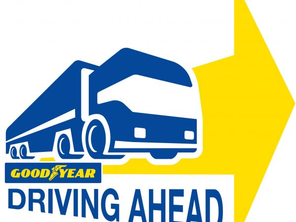 Driving Ahead Logo