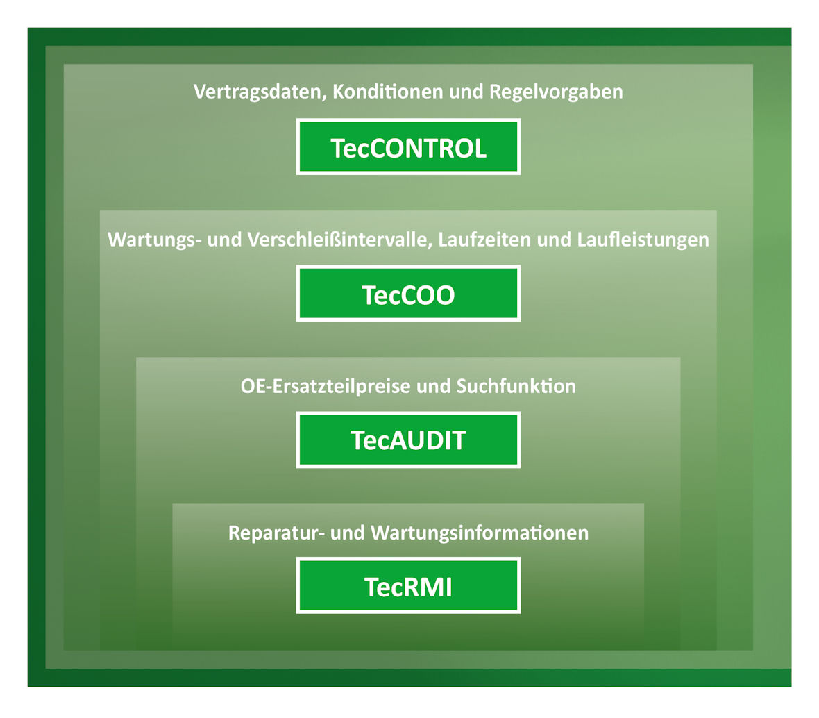 TecRMI